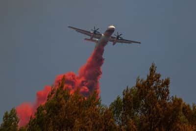 Image for Europe's would-be water bombers in race to tackle future wildfires