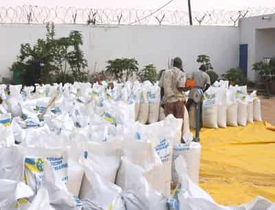 Image for Ukraine turns to Africa in its struggle against Russia