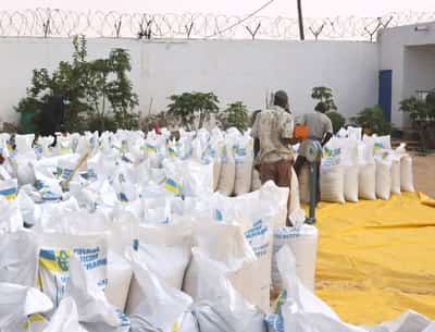 Image for Ukraine turns to Africa in its struggle against Russia