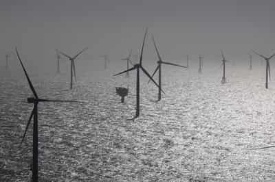 Image for German offshore wind lobby proposes measures to avert delays