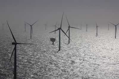 Image for German offshore wind lobby proposes measures to avert delays