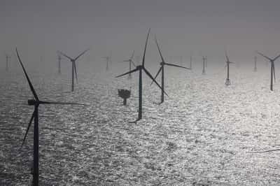 Image for German offshore wind lobby proposes measures to avert delays