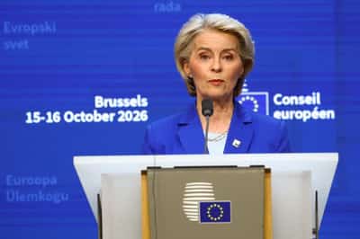 Image for EU to propose import curbs on other Chinese sectors, says EU chief