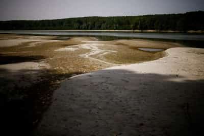 Image for Market value alone is selling nature short, governments told