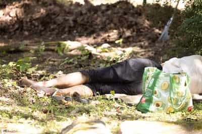Image for Nearly 10,000 heat-related deaths in Germany so far this year, says institute