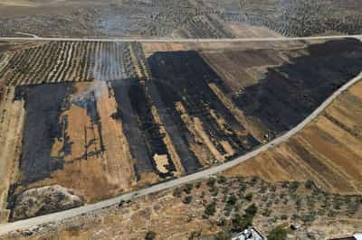 Image for Israeli forces kill third Palestinian in West Bank in 24 hours, Palestinian sources say