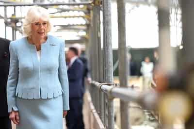 Image for UK’s Queen Camilla suffering from chest infection, Buckingham Palace says
