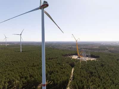 Image for Germany opens door to offshore wind returns as sector pressures grow
