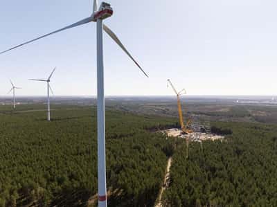 Image for Germany opens door to offshore wind returns as sector pressures grow