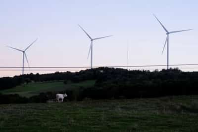 Image for Spain’s electricity demand edges up as renewables break records