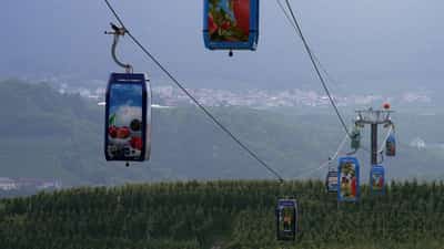 Image for Italian apples get their own dedicated cable car ride