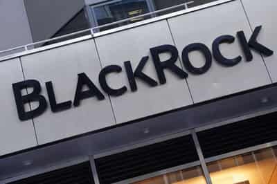 Image for BlackRock fund targets greening of materials sector