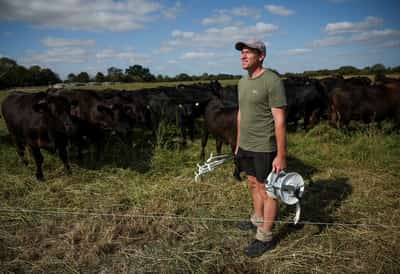 Image for As Europe bakes, momentum grows for climate-resilient farming