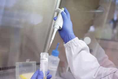 Image for Bird flu in top chicken exporter Brazil triggers trade bans