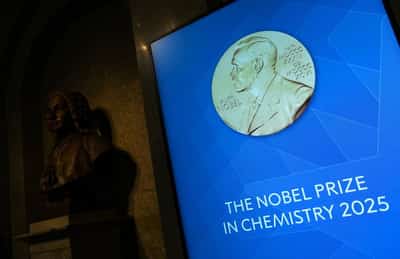 Image for Trio win Nobel chemistry prize for work on 'Hermione's handbag' materials