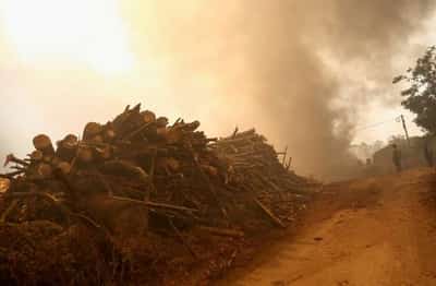 Image for Analysis-Climate change, scarcity chip away at degrowth taboo
