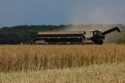 Image for Surging fuel, fertiliser prices do not threaten Ukraine's spring crop sowing, official says