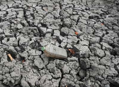 Image for UN urges the world to ready for extreme heat risk from El Nino