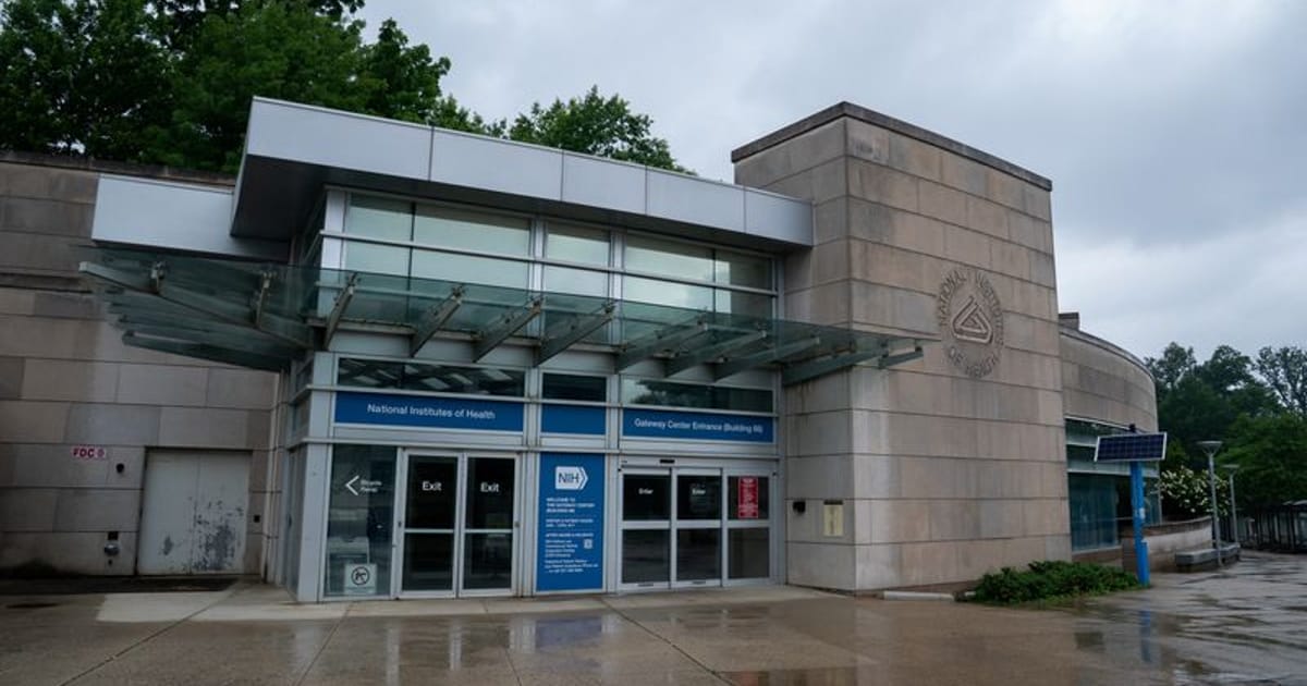 NIH's $50 Million Autism Initiative: Key Research Projects