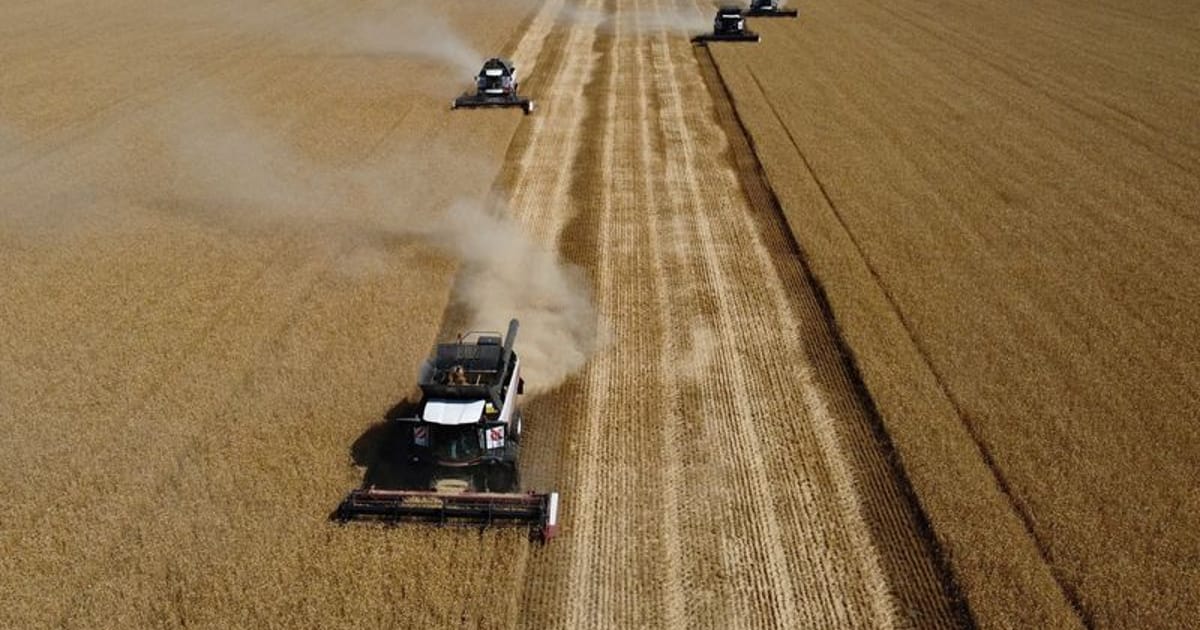 Russian grain exports shift to Baltic as Black Sea trade disrupted