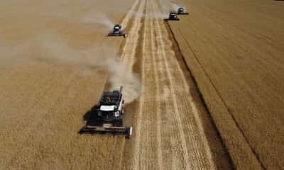 Image for Russian grain exports shift to Baltic as Black Sea trade disrupted