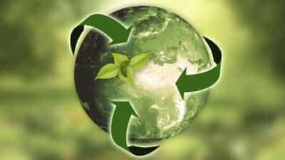 Image for Transparency offers the pathway to a more sustainable Earth