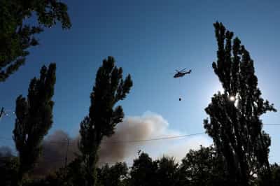 Image for Ukraine's Zelenskiy says interceptors downed many Russian drones overnight