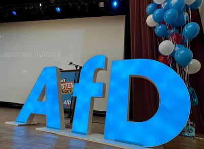 Image for German spy agency brands far-right AfD as 'extremist', opens way for closer surveillance