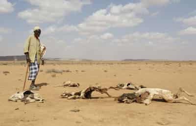 Image for ‘Widen gaze from Ukraine’ to avert famine in Somalia, U.N. agency warns