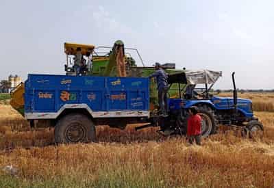 Image for After five record crops, heat wave threatens India’s wheat output, export plans