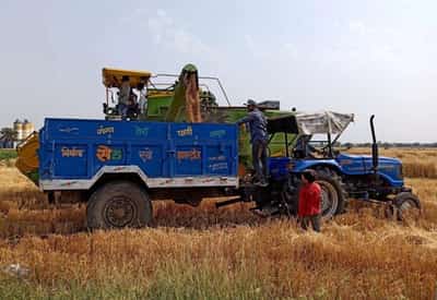 Image for After five record crops, heat wave threatens India’s wheat output, export plans