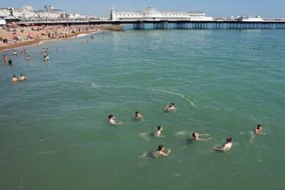 Image for Britain must urgently prepare for hotter temperatures, climate advisers warn