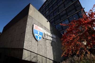 Image for Three-person IVF technique spared children from inherited diseases, scientists say