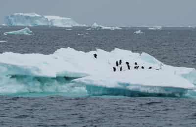 Image for No quick fix to reverse Antarctic sea ice loss as warming intensifies – scientists