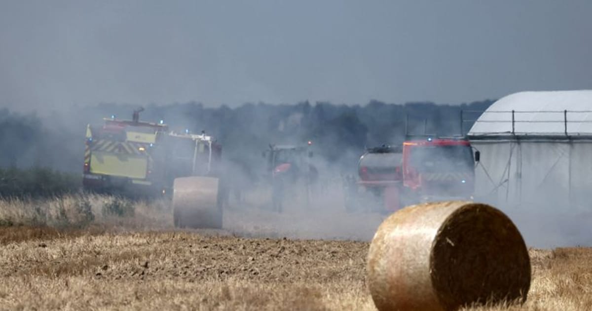 France to give more than €1 billion of aid for weather-hit farmers