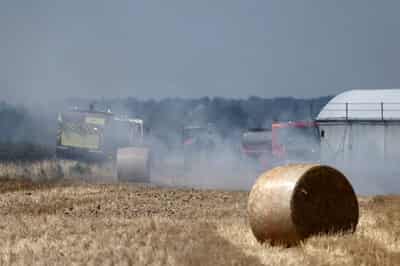 Image for France gives farmers €1 billion to recover from record heatwaves