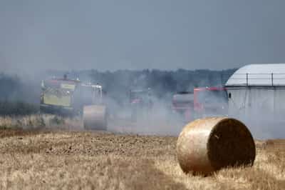 Image for France to announce €1 billion of aid for weather-hit farmers, BFM TV reports
