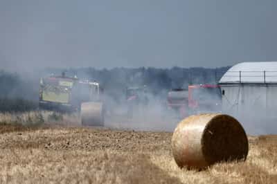 Image for France to announce €1 billion of aid for weather-hit farmers, BFM TV reports