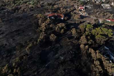 Image for Tourists flee as Greek wildfire descends on resort village