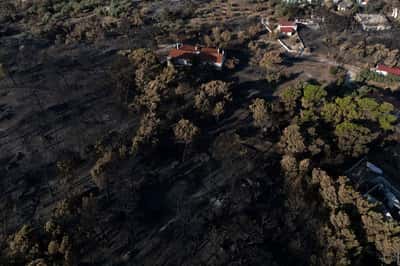 Image for Tourists flee as Greek wildfire descends on resort village