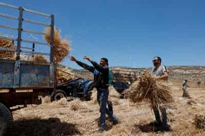 Image for Israel announces new West Bank settlements despite sanctions threat