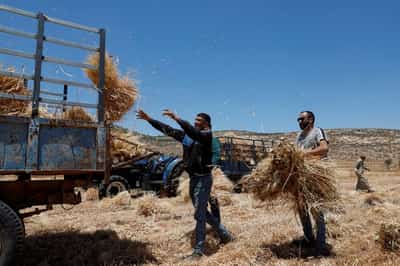 Image for Israel announces new West Bank settlements despite sanctions threat