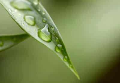 Image for Deutsche Bank launches green deposits for its corporate clients