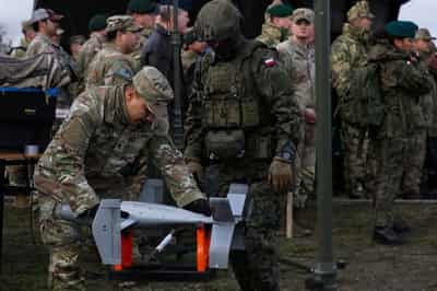 Image for Factbox-Details of U.S. troops based in Europe as Trump mulls removing some