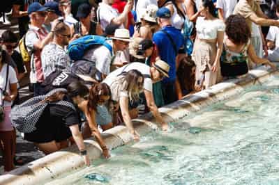 Image for Extreme heatwaves to continue through August, WMO adviser says