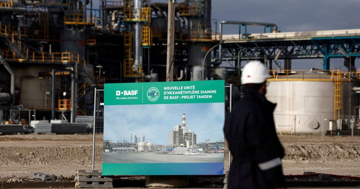 BASF Targets IPO for Agriculture Business on Frankfurt Exchange