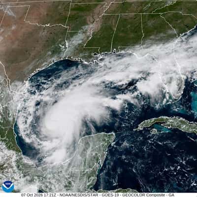Image for Shell, Chevron cut Gulf of Mexico output as Tropical Storm Isaias approaches
