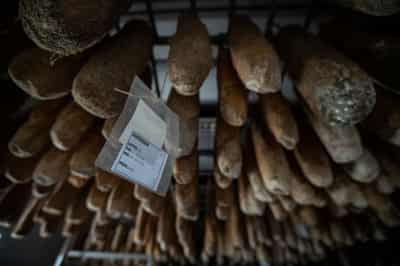 Image for China’s retaliatory tariffs to squeeze EU pork producers