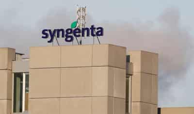 Image for Syngenta Q1 sales rise 26% as farmers buy early, IPO on track