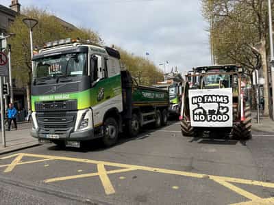 Image for Irish junior minister resigns in protest of government response to fuel protests